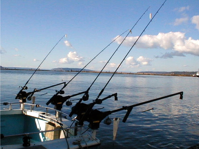 Rods and Reels
