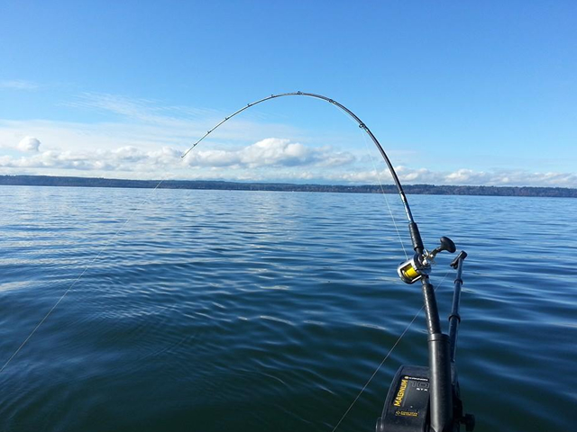 fishing gear